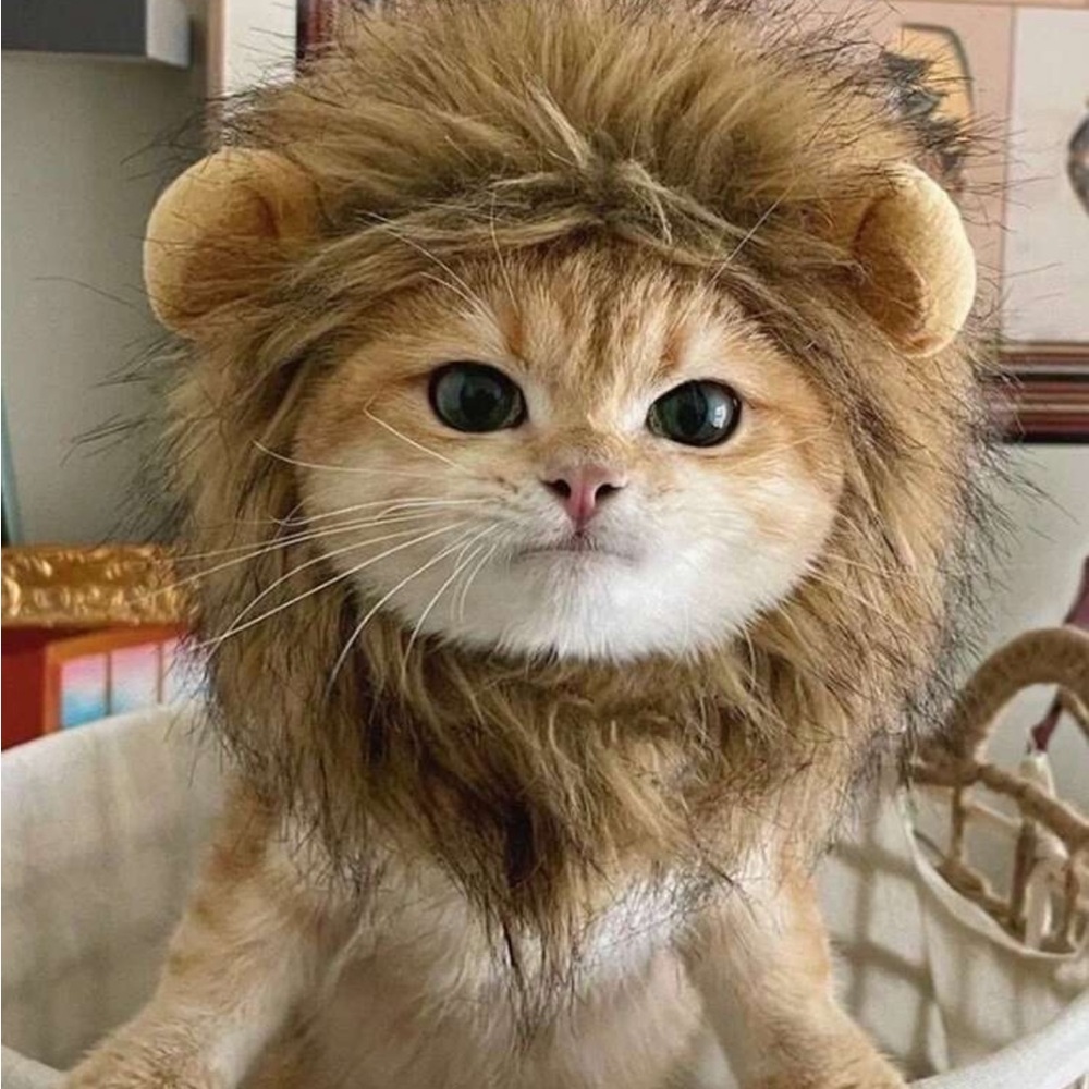 1pc Furry Lion Mane Wig For Cats & Dogs Funny Pet Costume Accessory